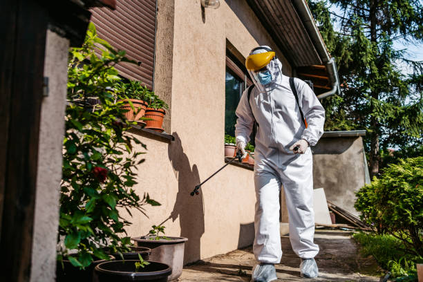 Best Wasp Removal Services  in Royalton, MN