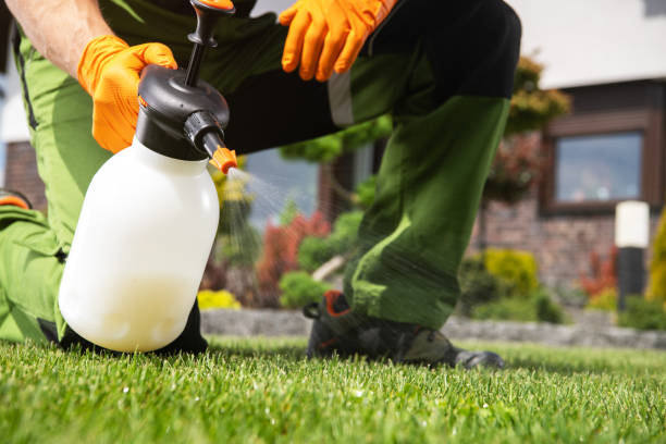 Best Residential Pest Control  in Royalton, MN