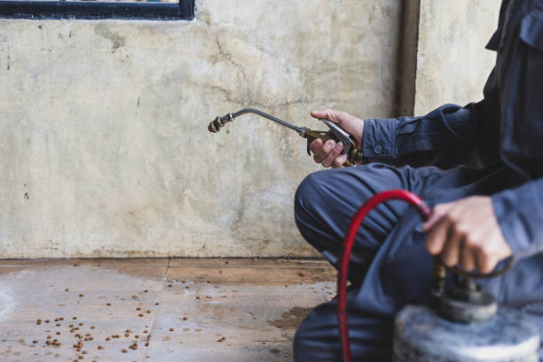 Best Pest Control for Homes  in Royalton, MN